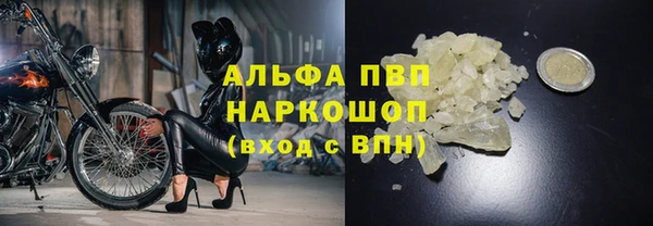 прущие крисы Медвежьегорск
