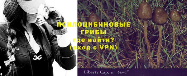 стаф Мегион