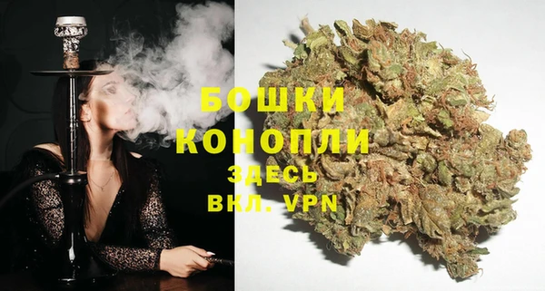 стаф Мегион