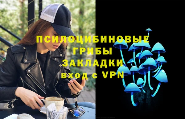 прущие крисы Медвежьегорск