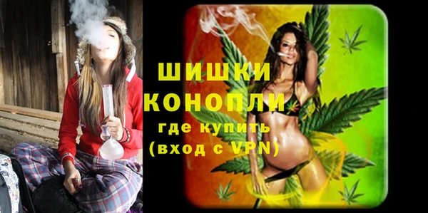 стаф Мегион