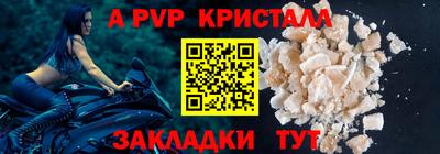 ешки Кингисепп