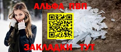 ешки Кингисепп