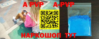 ешки Кингисепп