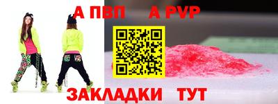 ешки Кингисепп