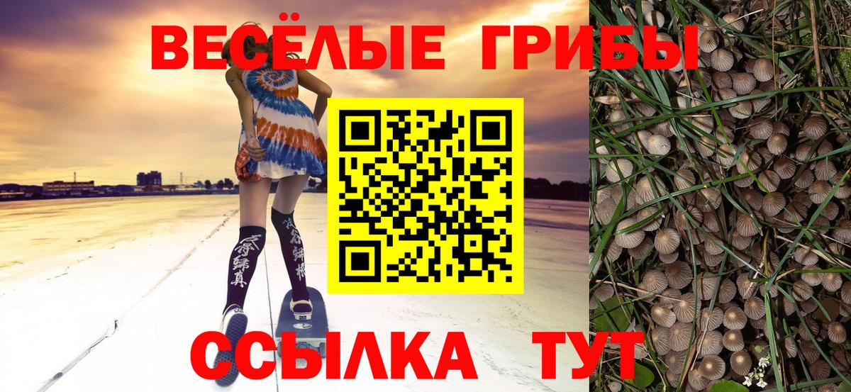 Псилоцибиновые грибы Cubensis  Галлюциногенные грибы MAGIC MUSHROOMS  Вход с VPN  Тихорецк 